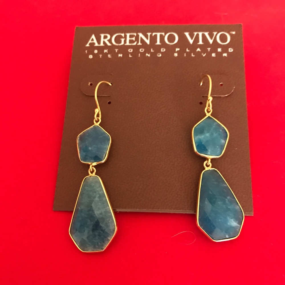 Argento Vivo drop earrings